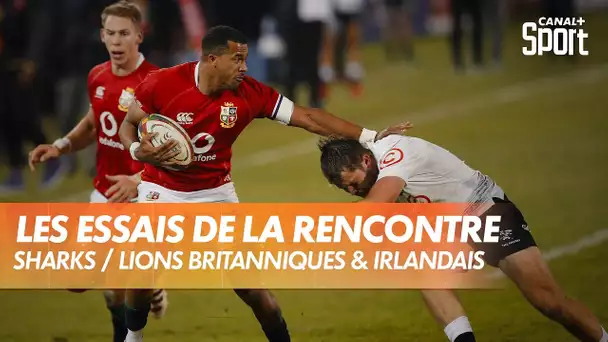 Les plus beaux essais de Sharks / Lions Britanniques et Irlandais