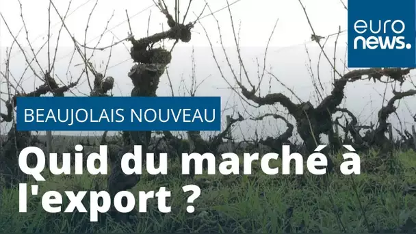 Le Beaujolais nouveau et le marché à l'export