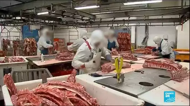 "Clusters" dans deux abattoirs : plus de 100 cas de Covid-19 au total