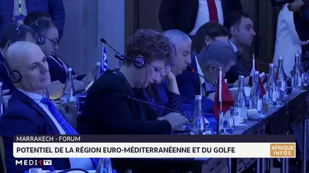 Forum : potentiel de la région euro-méditerranéenne et du Golfe