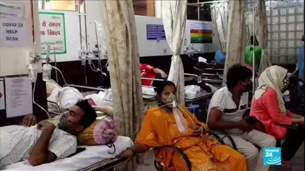 Le Covid-19 continue de faire des ravages en Inde, le pays a dépassé les 20 millions de cas