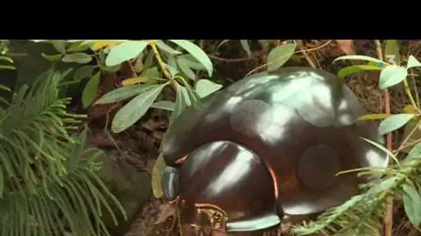 Les insectes de François Chapelain-Midy au Jardin des plantes de Paris