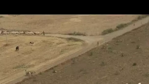 Maroc : corvée d'eau sur un lac