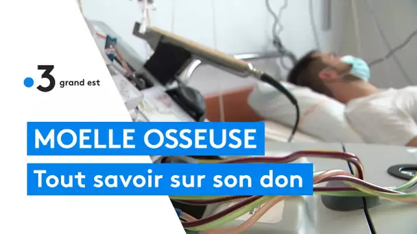 Santé : tout savoir sur le don de la moelle osseuse