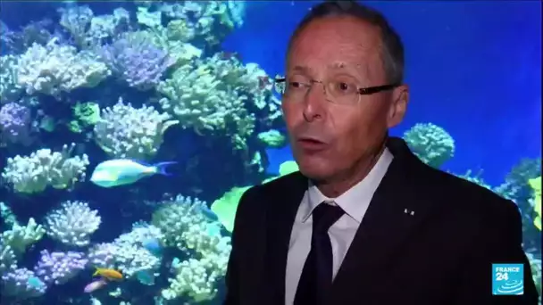 Disparition de 14% du corail dans le monde entre 2009 et 2018 (rapport) • FRANCE 24