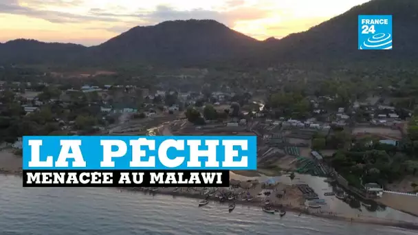 Au Malawi, le réchauffement climatique rend la pêche plus difficile