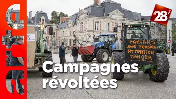 Pourquoi les agriculteurs ne décolèrent pas ? | 28 minutes | ARTE