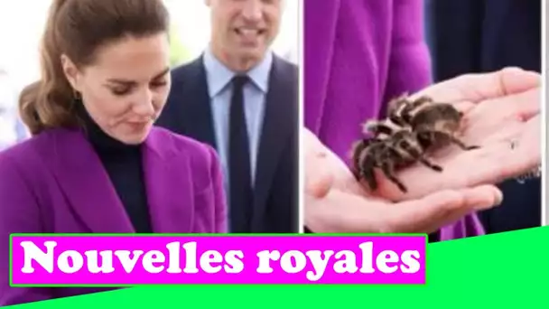 Sans peur! D@ring Kate dans une rencontre terrifiante avec une tarentule lors d'une visite royale