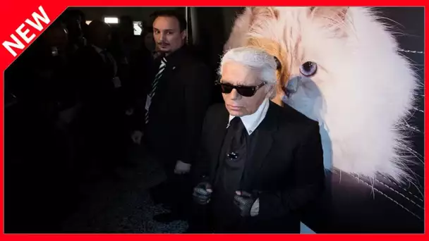 ✅  Karl Lagerfeld : ses dernières heures racontées par son homme de confiance Sébastien Jondeau