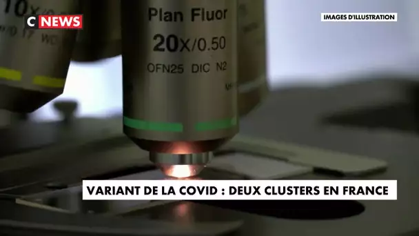 Coronavirus : 2 clusters du nouveau variant en France