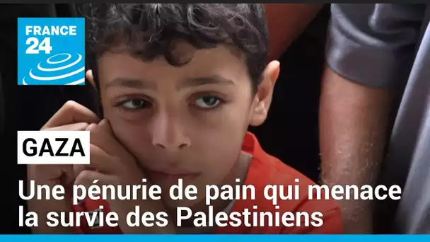 Gaza : une pénurie de pain qui menace la survie des Palestiniens • FRANCE 24