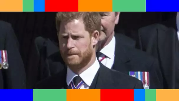 👑  Le prince Harry songe à retarder son retour à Los Angeles pour l'anniversaire de la Reine