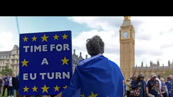 À Londres, des milliers de manifestants demandent le retour du Royaume-Uni dans l'UE • FRANCE 24