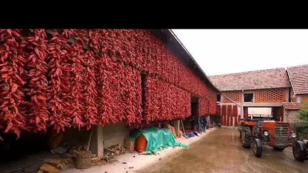 Explorez le village rouge serbe de Donja Lokošnica et les tapis de Pirot classés à l'Unesco