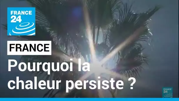 France : pourquoi la chaleur persiste ? • FRANCE 24