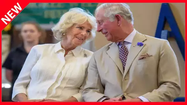 ✅  Camilla en jean pour ses retrouvailles avec Charles et leurs 15 ans de mariage