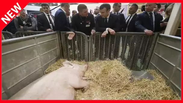 ✅  Emmanuel Macron au salon de l'agriculture : oeuf, sifflets, larmes… à chaque année son rebondisse