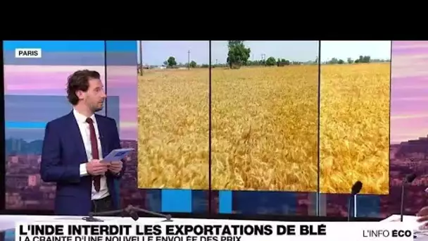 L'Inde interdit les exportations de blé : l'inquiétude de la communauté internationale • FRANCE 24