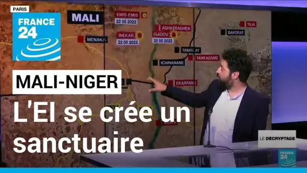 Au Sahel, l'Etat islamique se crée un sanctuaire à la frontière entre le Mali et le Niger