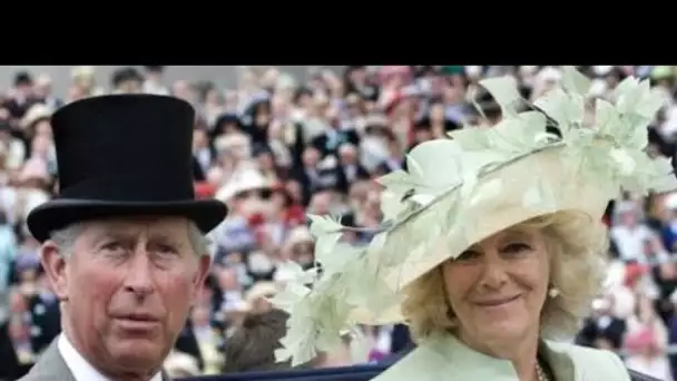 Charles et Camilla : leur carte de voeux officielle trollée par des fans de Lady Di