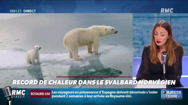 Nouveau record de chaleur inquiétant en Arctique dans le Svalbard Norvégien…