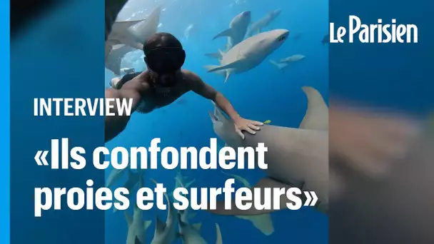 "L'homme est trop peu calorifique" : pourquoi les requins n'attaquent pas les baigneurs volontaireme