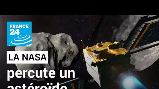 Un vaisseau de la Nasa percute un astéroïde afin de le dévier, une première • FRANCE 24