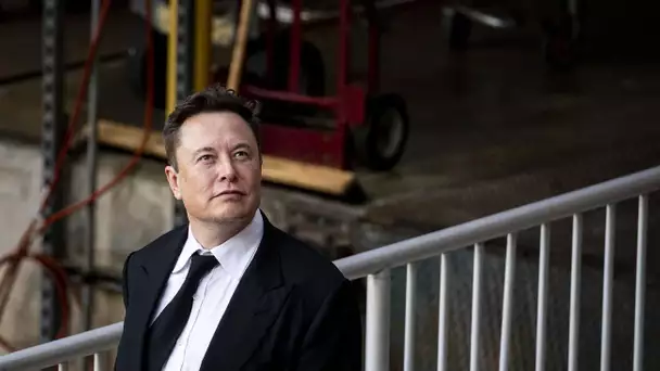 Elon Musk : nous avons trouvé son sosie parfait