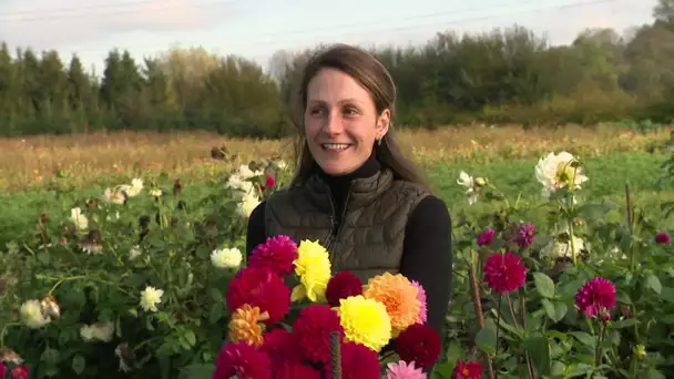 Fleurs et légumes du Nord : les 3 sœurs Duchatel de Willems