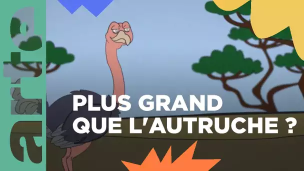 L’animal le plus long au monde | ARTE