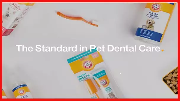 Arm & Hammer for Pets Fresh Breath Kit for Dogs | Contains Toothpaste, Toothbrush & Fingerbrush