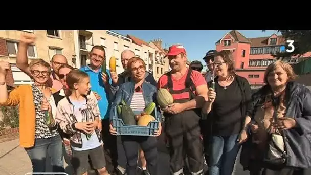 Jardiner facilement dans les carrés Fantastik de Saint-Omer