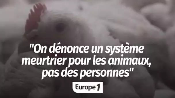 L214 : "On dénonce un système meurtrier pour les animaux, on ne dénonce pas des personnes"