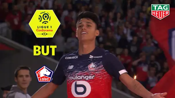 But Luiz ARAUJO (53') / LOSC - Angers SCO (2-1)  (LOSC-SCO)/ 2019-20