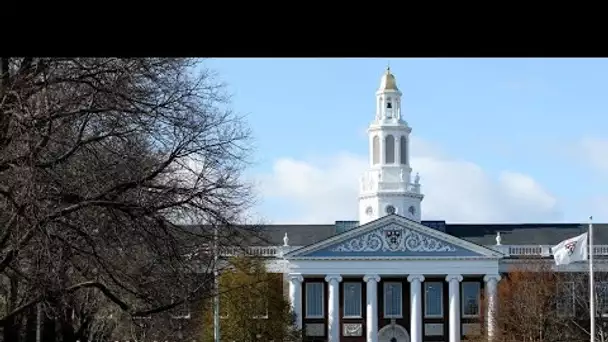Harvard et le MIT porte plainte contre l'administration Trump pour défendre les étudiants étrangers