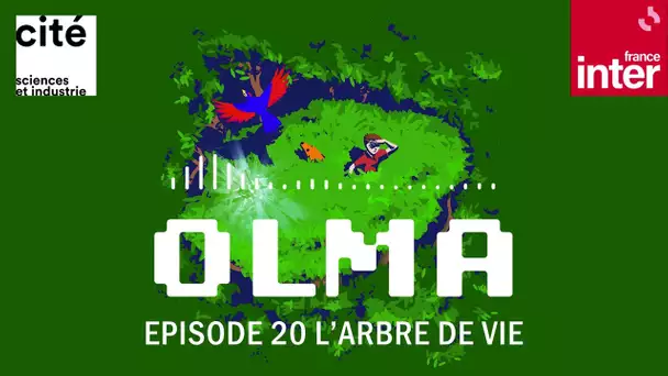 L’arbre de vie (épilogue) - Olma S2 ép.20