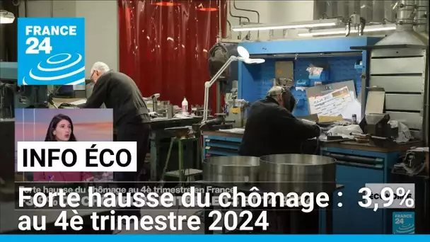 Forte hausse du chômage en France au 4è trimestre 2024 à +3,9% • FRANCE 24