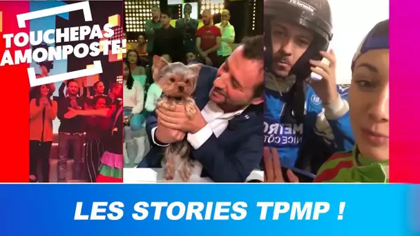 Les Stories TPMP : Booder s'ambiance, le chien de Kelly, Delphine en voiture !