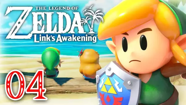 Link le romantique | ZELDA LINK'S AWAKENING #04