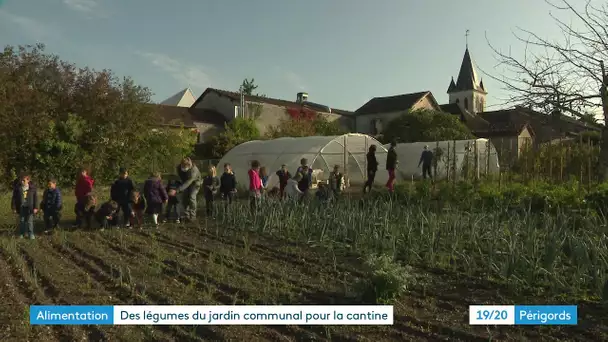 Champcevinel cultive ses propres légumes pour la cantine scolaire