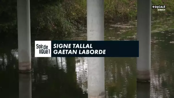 Signé Tallal : Gaëtan Laborde