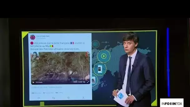 Des soldats français armant des jihadistes au Mali ? Une infox récurrente • FRANCE 24