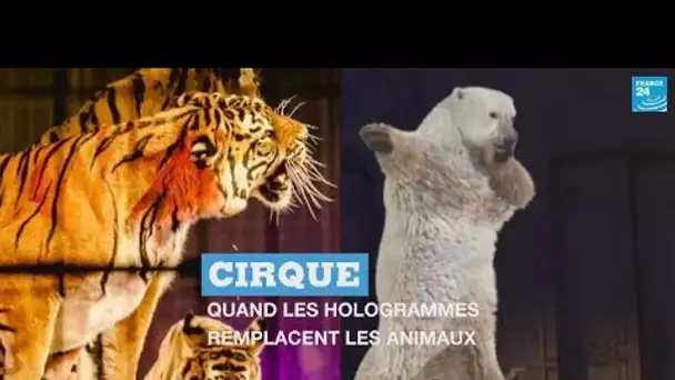 Cirque : quand les hologrammes remplacent les animaux