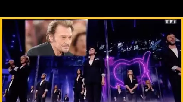 "Les Enfoirés 2020" : l’hommage de la troupe à Johnny Hallyday émeut les internautes