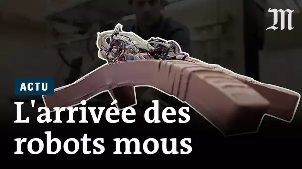 Pourquoi il y aura de plus en plus de robots mous