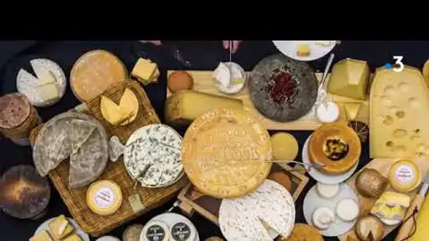 Nîmes : des fromagers vantent leurs produits en chanson dans un clip