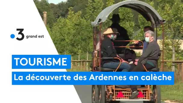 Tourisme : la découverte des Ardennes en calèche