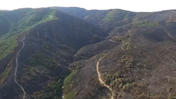 Incendie dans le Var: les images des milliers d'hectares brûlés prises depuis l'hélicoptère BFMTV