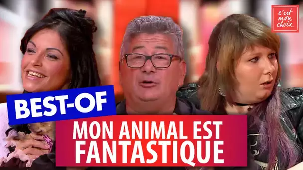 Best-of : spécial Mon animal est fantastique - C'est mon choix