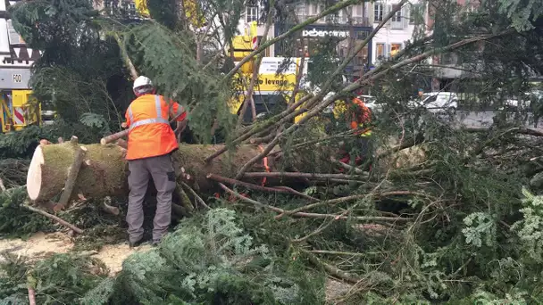 Tronçonnage en cours : les agents de l&#039;ONF en action pour débiter l&#039;arbre